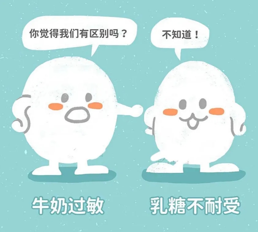 乳糖不耐受与牛奶过敏有什么区别