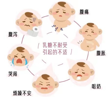 乳糖不耐受与牛奶过敏有什么区别