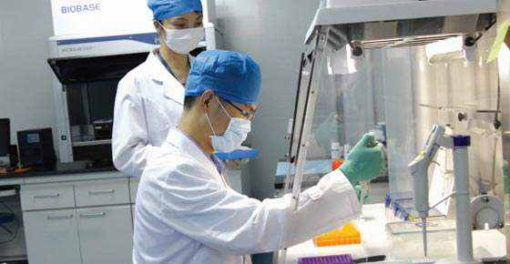食物不耐受需要花多少钱（附2025年检测报价标准）  